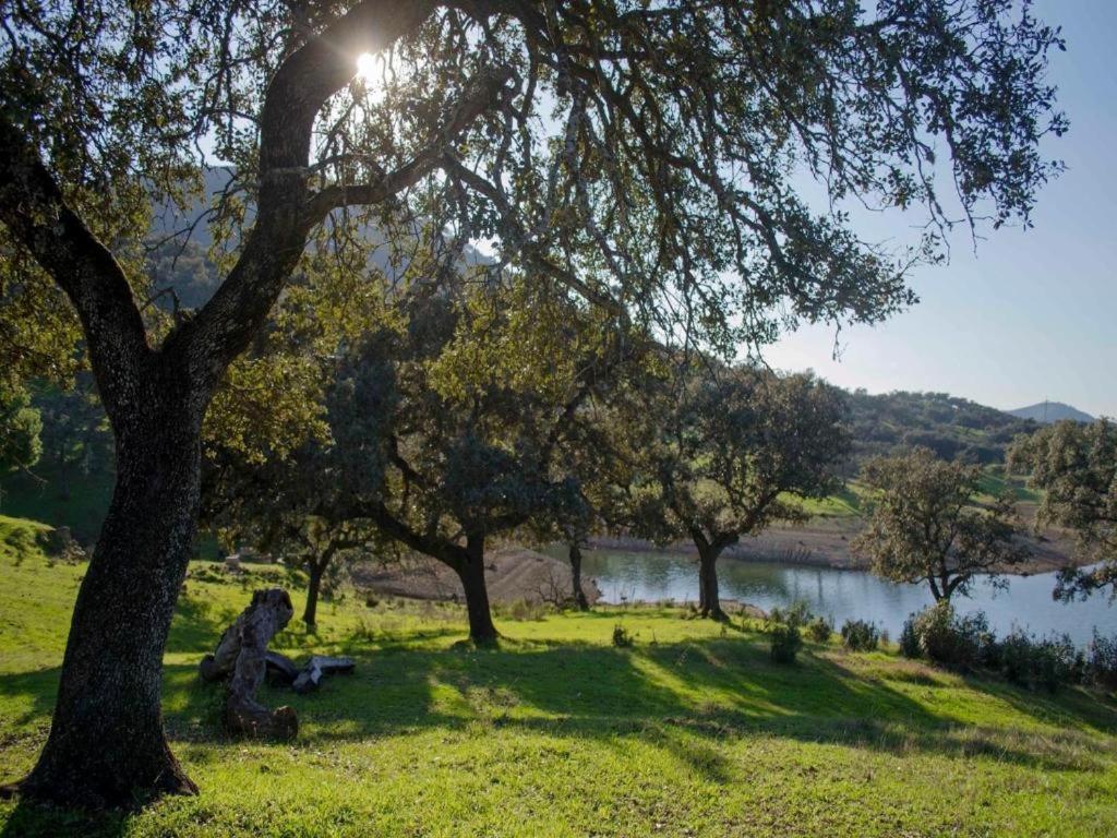 Finca La Vicaria Palomar Zufre ภายนอก รูปภาพ